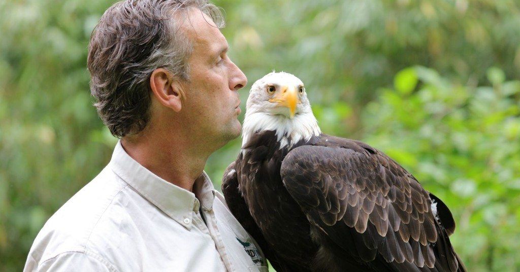 Kasteel Radboud – Valkenier Birdlive met Cheyenne 1920 x 1005 px Kasteel Radboud - Valkenier Birdlive met Cheyenne