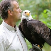 data-src="https://kasteelradboud.nl/wp-content/uploads/2021/06/Website-product-1000x1000-Kasteel-Radboud-Valkenier-Birdlive-met-Cheyenne-1.jpg"