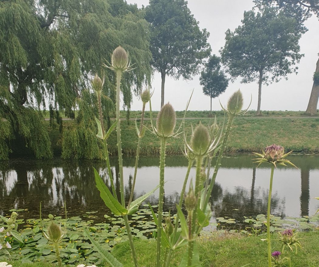 Radboud Castle-Herb Garden-Garb