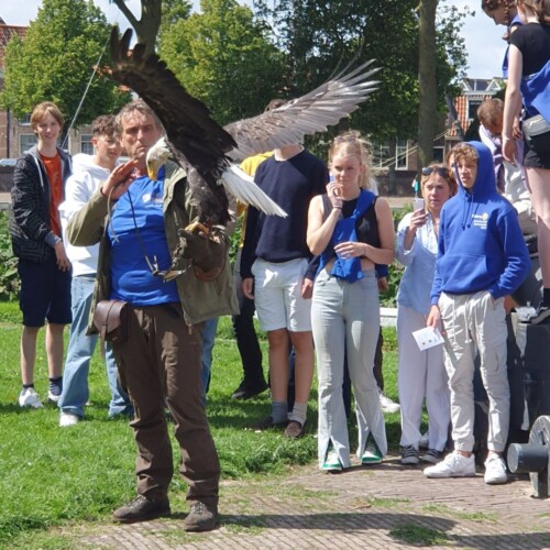Kasteel Radboud-Valkenier Birdlive op het kasteelplein