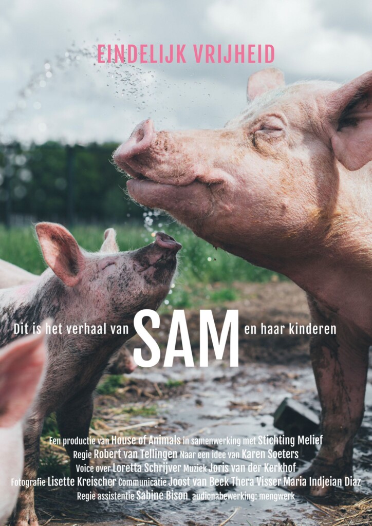 Kasteel Radboud- Filmposter SAM